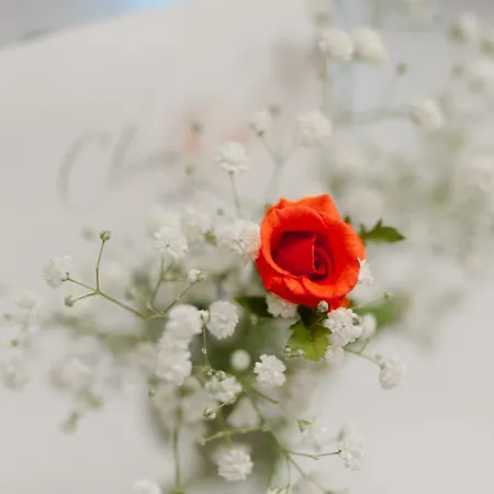 Claire Rose B&B-2